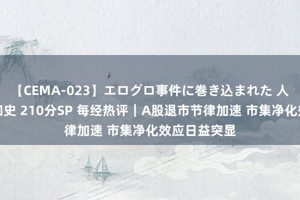 【CEMA-023】エログロ事件に巻き込まれた 人妻たちの昭和史 210分SP 每经热评｜A股退市节律加速 市集净化效应日益突显