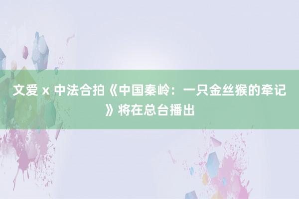 文爱 x 中法合拍《中国秦岭：一只金丝猴的牵记》将在总台播出